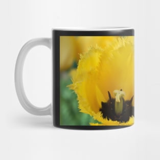 Tulipa 'Crystal Star' Fringed Tulip Mug